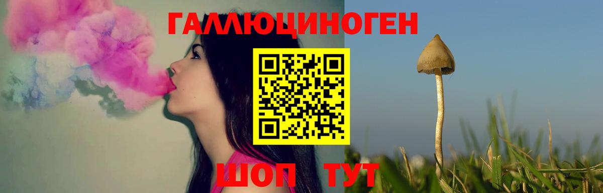 Псилоцибиновые грибы мицелий Назрань